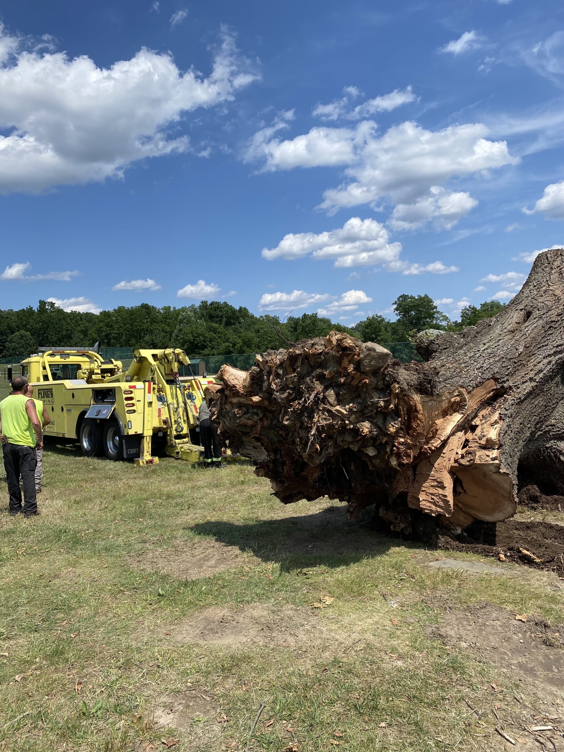 flings towing black oak tree layton park coatesville pennsylvania storm clean up_1 Fling's Towing 50-ton wrecker moving a massive 1700s era black oak tree at Layton Park in Coatesville, PA