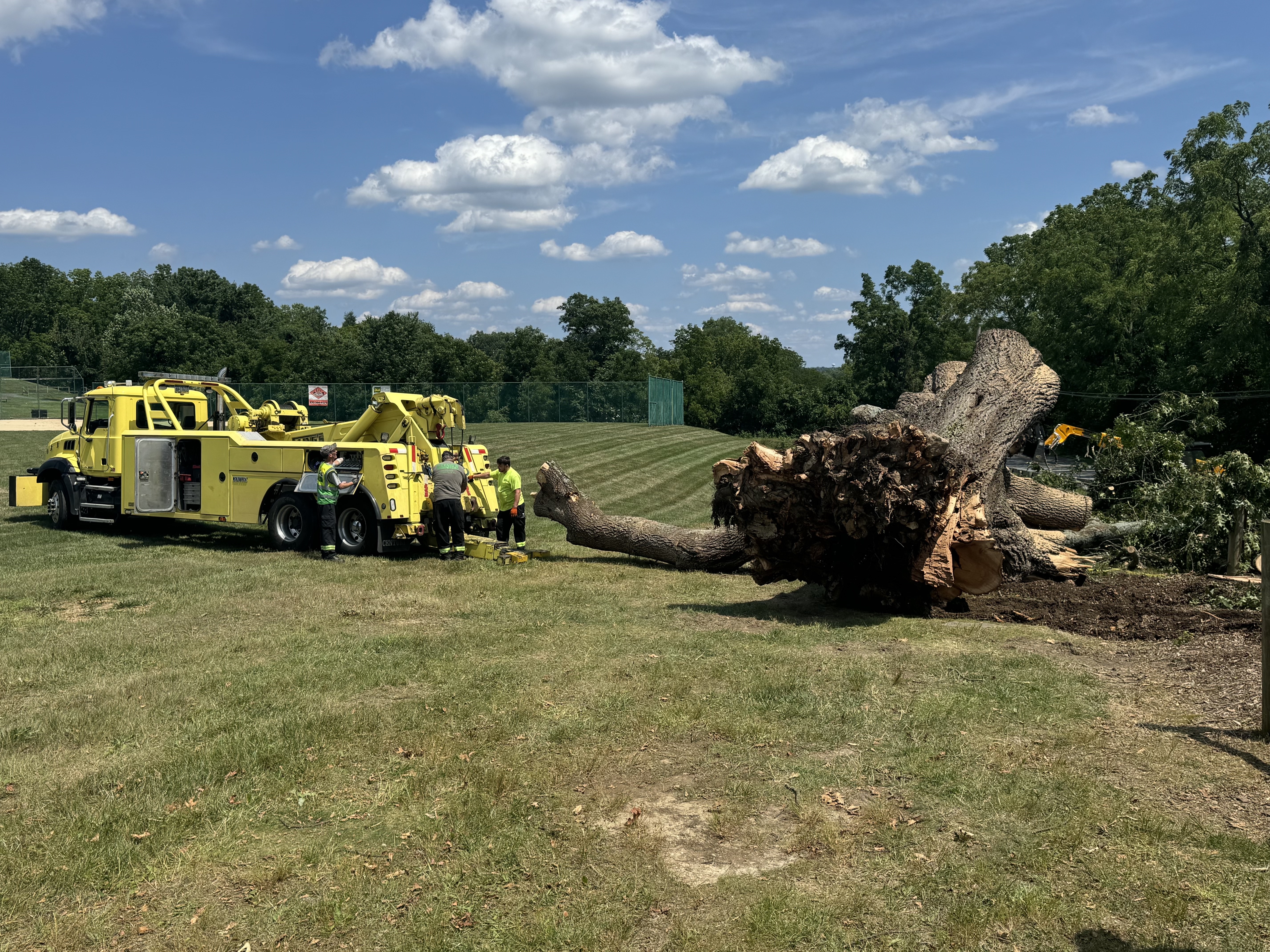 flings towing black oak tree layton park coatesville pennsylvania storm clean up_10 Fling's Towing 50-ton wrecker moving a massive 1700s era black oak tree at Layton Park in Coatesville, PA