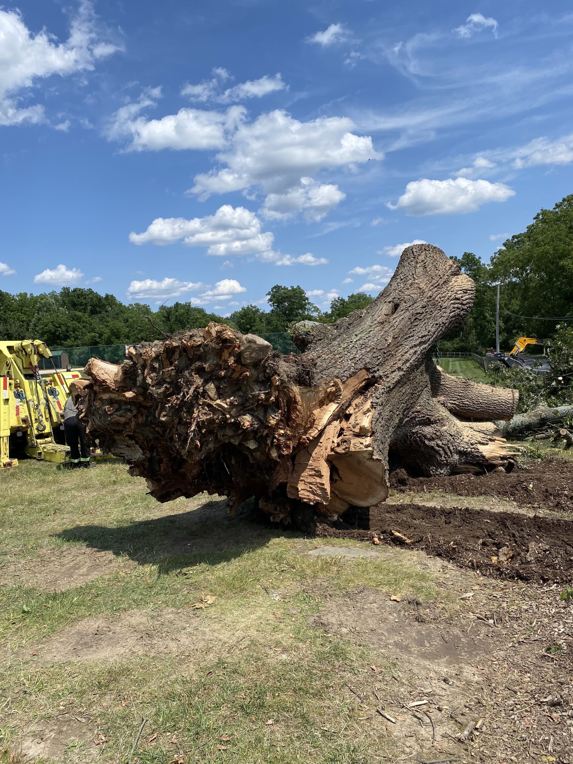 flings towing black oak tree layton park coatesville pennsylvania storm clean up_5 Fling's Towing 50-ton wrecker moving a massive 1700s era black oak tree at Layton Park in Coatesville, PA